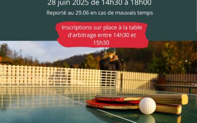 81 Edition du tournoi populaire de Bellerive-Plage